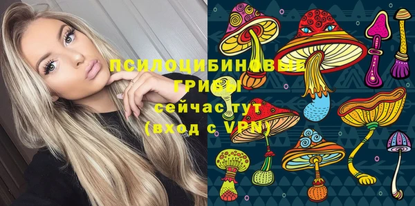 винт Коряжма